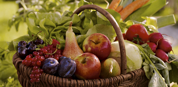Obst, Gemüse und Gartenbau